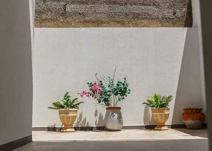 Residencia Ana Piso Zero 0 סנטה קרוז